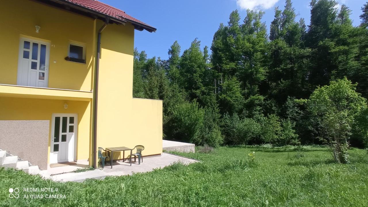 Apartment Mirela Fužine Zewnętrze zdjęcie