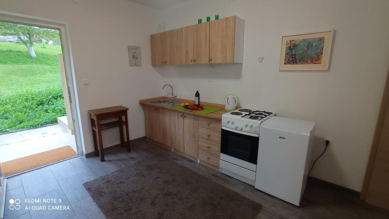 Apartment Mirela Fužine Zewnętrze zdjęcie